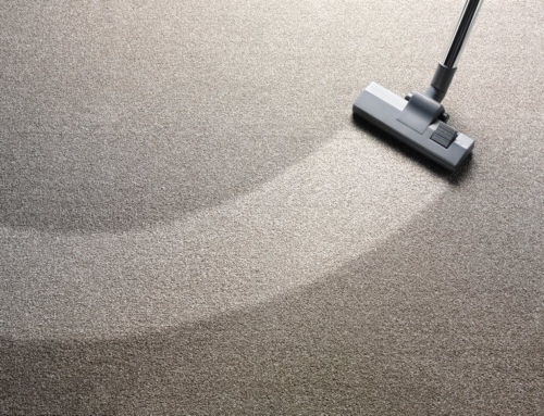 How Dirty are Carpets, Really?