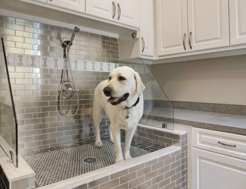 Design a Pet Friendly Mudroom With a Dog Washing Station