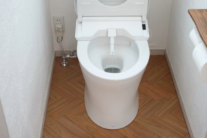 Bathroom area featuring a toilet with bidet attachment - a washlet.