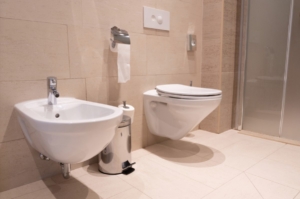 traditional stand alone bidet and toilet