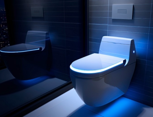 The Bidet Boom – once a luxury item, now becoming a standard